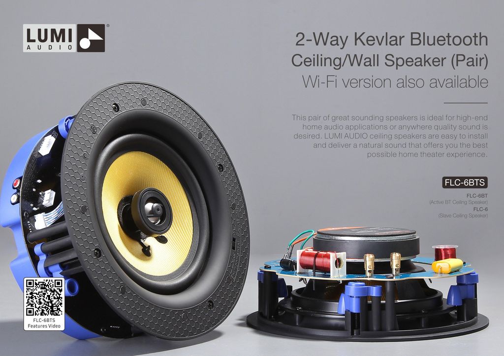 רמקולים שקועים